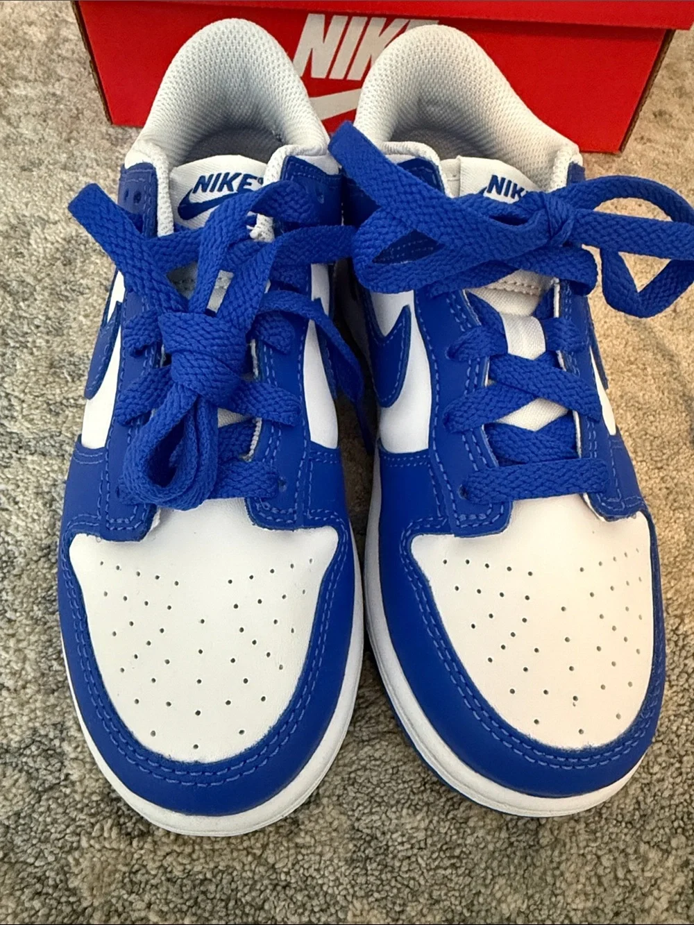 Nike Kids Blue & White Low-Top Dunk Sneakers